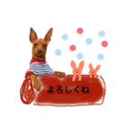 ミニピン日常スタンプ（個別スタンプ：26）