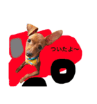 ミニピン日常スタンプ（個別スタンプ：34）