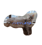 お疲れ様ですね（個別スタンプ：1）