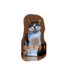 お疲れ様ですね（個別スタンプ：2）