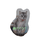 お疲れ様ですね（個別スタンプ：3）