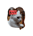 お疲れ様ですね（個別スタンプ：5）