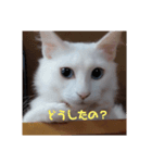 お疲れ様ですね（個別スタンプ：6）