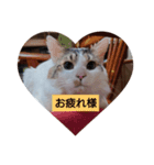 お疲れ様ですね（個別スタンプ：8）