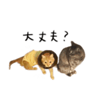 ねこ(ひたすらかわいい)2（個別スタンプ：34）