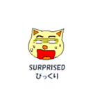 ABC気持ちねこさん（個別スタンプ：31）