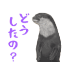 いきもの大好き！ほほえみフレンズ（個別スタンプ：9）