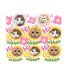 らぶcats♡（個別スタンプ：1）