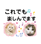 らぶcats♡（個別スタンプ：12）