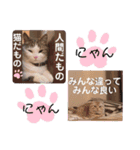 らぶcats♡（個別スタンプ：16）