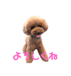 レオン(444)（個別スタンプ：5）