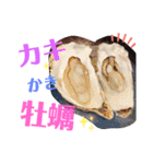 ロックフィッシュななちゃん☆晩酌♡釣り☆（個別スタンプ：11）