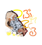 Rao♡0歳stamp（個別スタンプ：16）