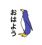 ペンギンである必要は無い（個別スタンプ：1）