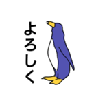 ペンギンである必要は無い（個別スタンプ：4）