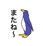 ペンギンである必要は無い（個別スタンプ：5）