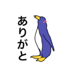 ペンギンである必要は無い（個別スタンプ：6）