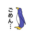 ペンギンである必要は無い（個別スタンプ：12）