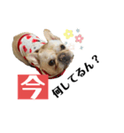 フレブル小次郎でし②（個別スタンプ：5）