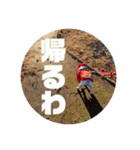 フレブル小次郎でし②（個別スタンプ：32）