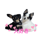 モモ＆くぅーさん（個別スタンプ：32）