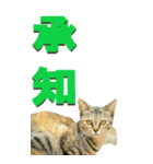 漢字二文字(仕事用)を野生猫からーBIG（個別スタンプ：2）