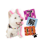 白柴てっちゃん♥。（個別スタンプ：8）