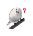 シマエナガなの（個別スタンプ：1）