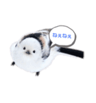 シマエナガなの（個別スタンプ：2）