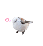 シマエナガなの（個別スタンプ：8）