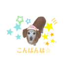 ホムワト4（個別スタンプ：2）