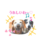 ホムワト4（個別スタンプ：3）