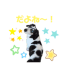 ホムワト4（個別スタンプ：9）