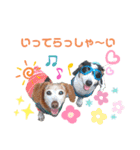 ホムワト4（個別スタンプ：12）