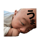 るあたんぷ①（個別スタンプ：24）