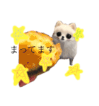 かぁいいイヌ2（個別スタンプ：2）