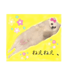 かぁいいイヌ2（個別スタンプ：15）