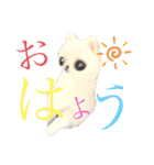 かぁいいイヌ2（個別スタンプ：22）