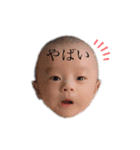 ときくんスタンプ！（個別スタンプ：31）