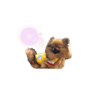 柴犬レモ②（個別スタンプ：18）