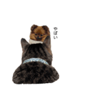 柴犬レモ②（個別スタンプ：20）