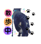 小太郎きゅん（個別スタンプ：2）