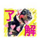 小太郎きゅん（個別スタンプ：3）