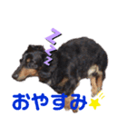 小太郎きゅん（個別スタンプ：9）
