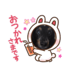 小太郎きゅん（個別スタンプ：14）
