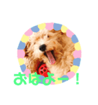 むぎ(448)（個別スタンプ：1）