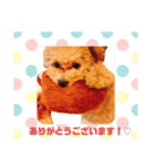 むぎ(448)（個別スタンプ：7）