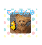 はな(449)（個別スタンプ：5）