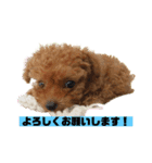 はな(449)（個別スタンプ：7）