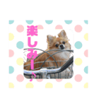 チョコ(450)（個別スタンプ：3）